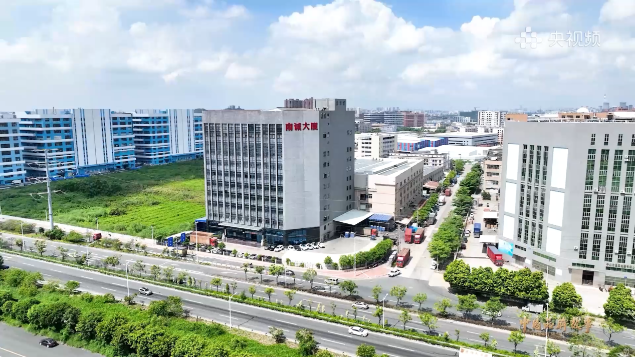 奥运冠军蔡良蝉 x 南晟冰浴｜“冰浴挑战”正式启动：敢不敢为地球和自己，泡一次冰水？